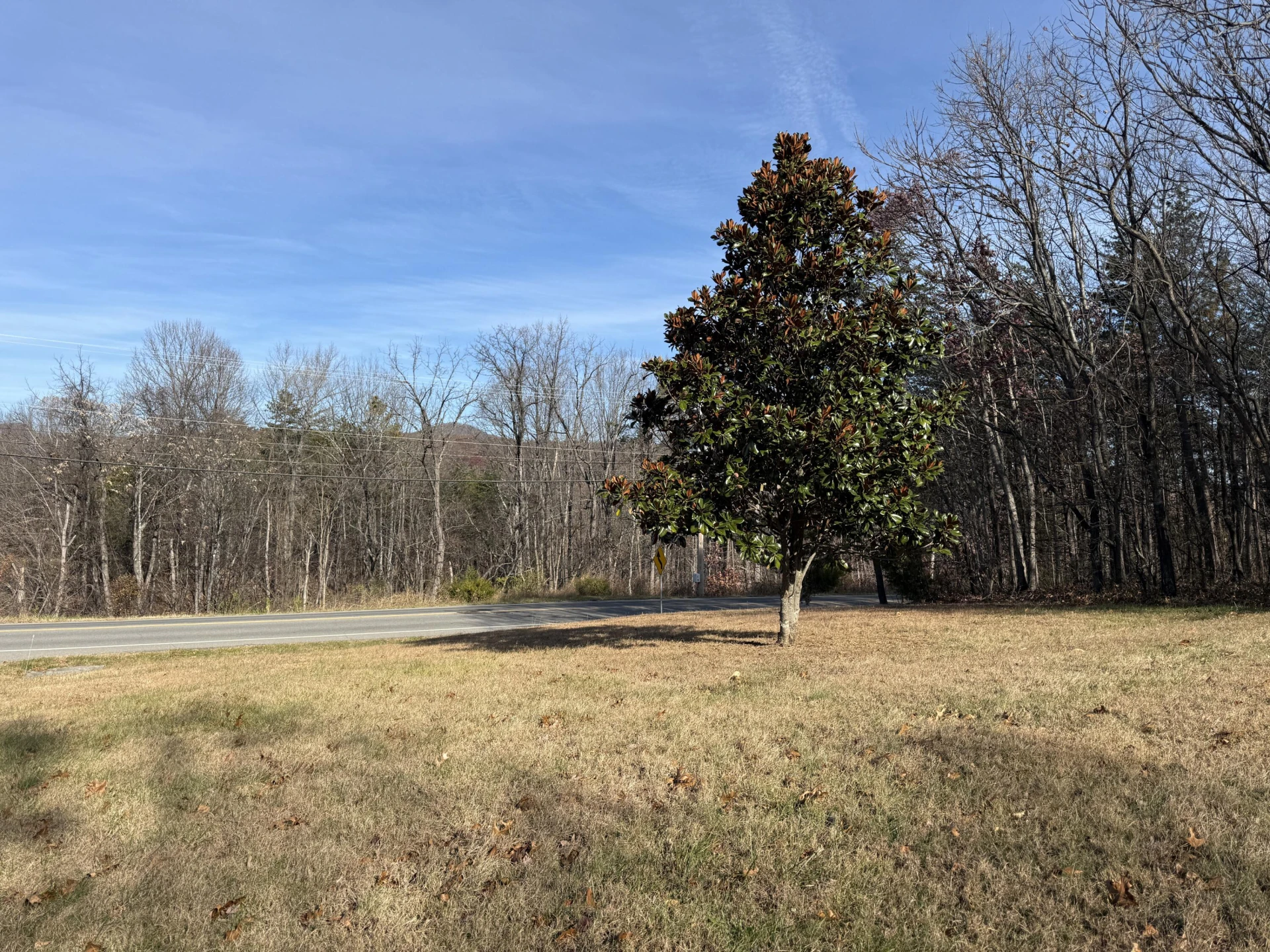 7212 Wood Haven RD - Photo 8
