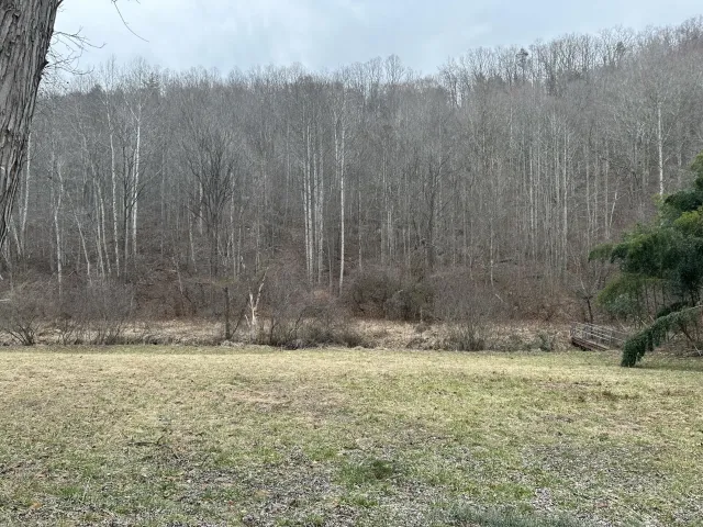 3546 Prillaman Switch RD, Ferrum, VA, 24088