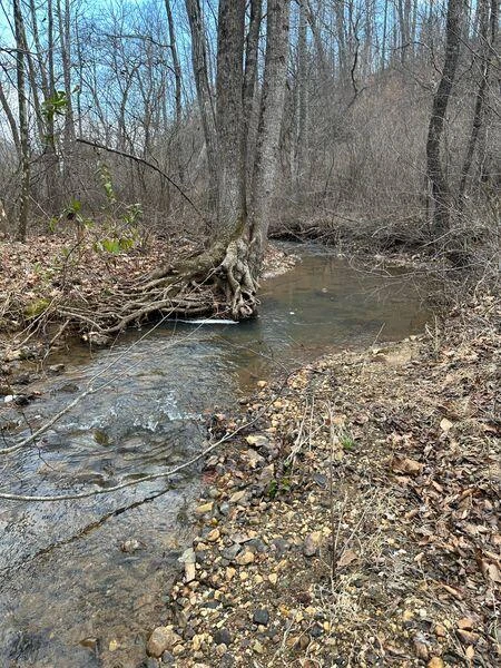 3546 Prillaman Switch RD - Photo 2