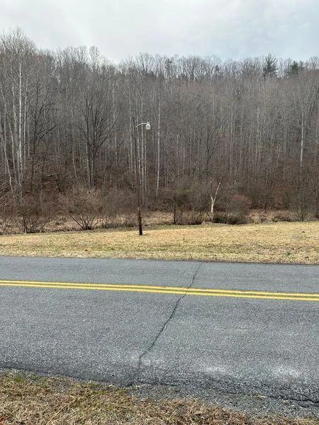 3546 Prillaman Switch RD - Photo 3