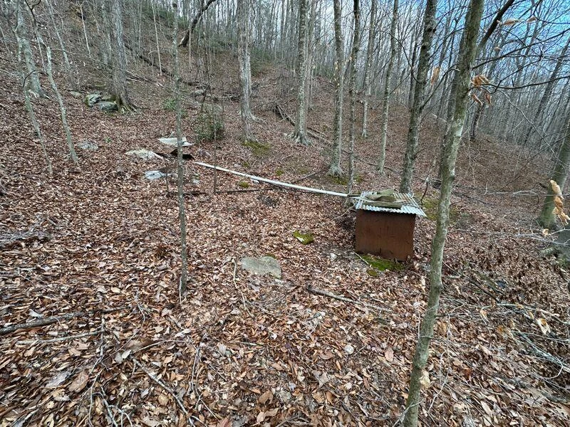 3546 Prillaman Switch RD - Photo 5