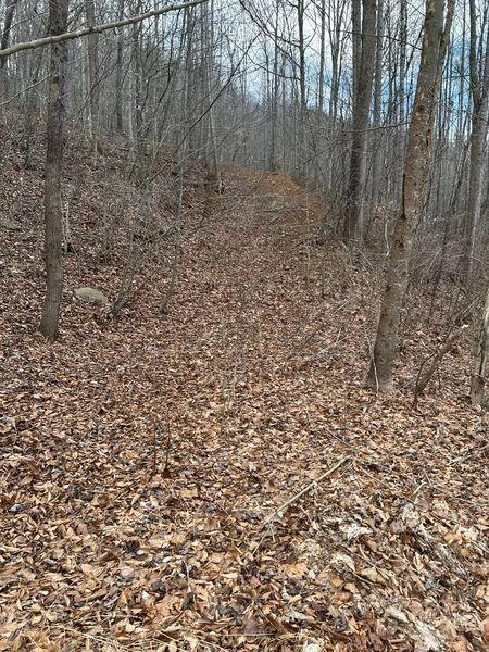 3546 Prillaman Switch RD - Photo 6