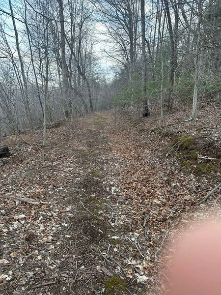 3546 Prillaman Switch RD - Photo 7