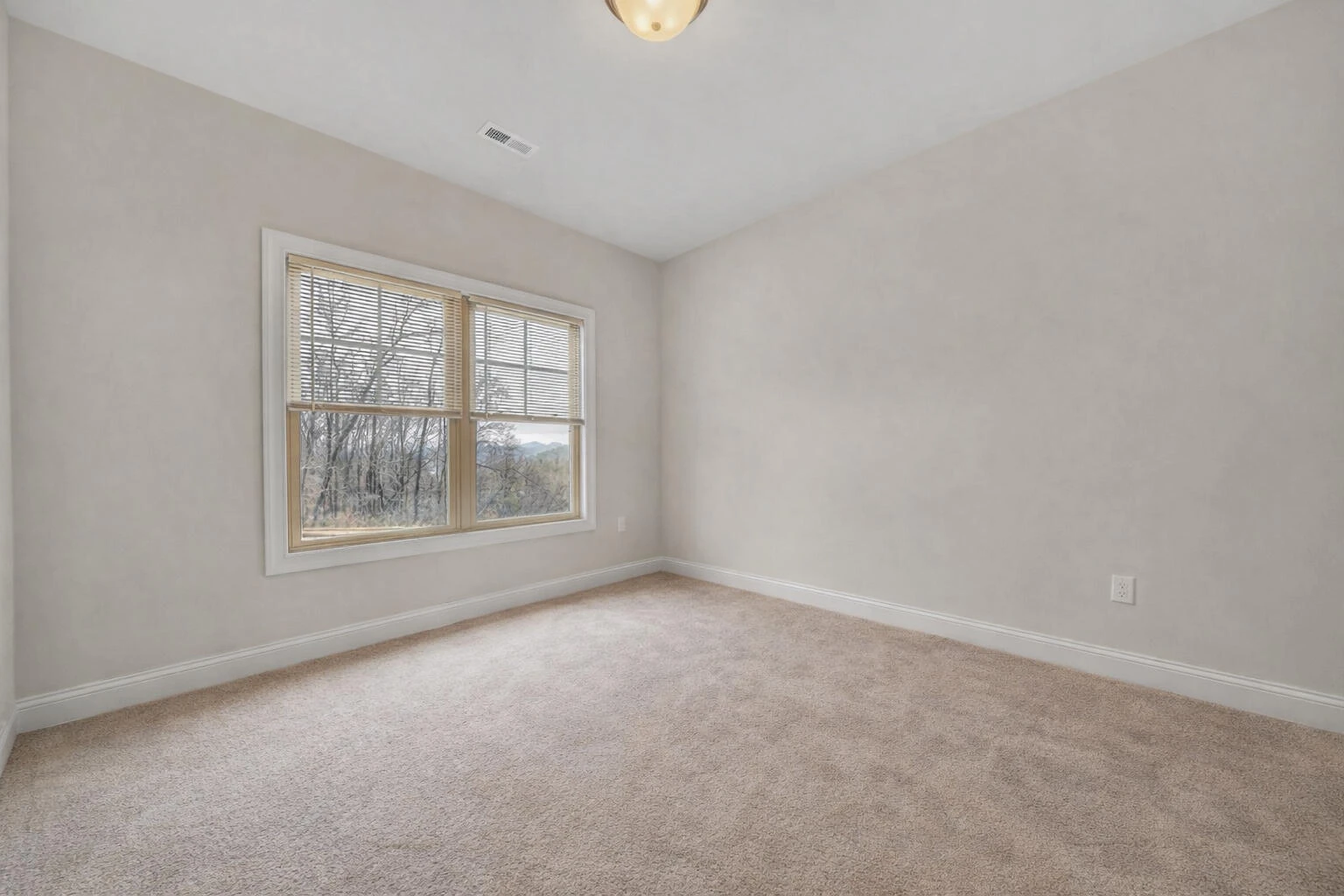 7011 Linn Cove CT - Photo 20