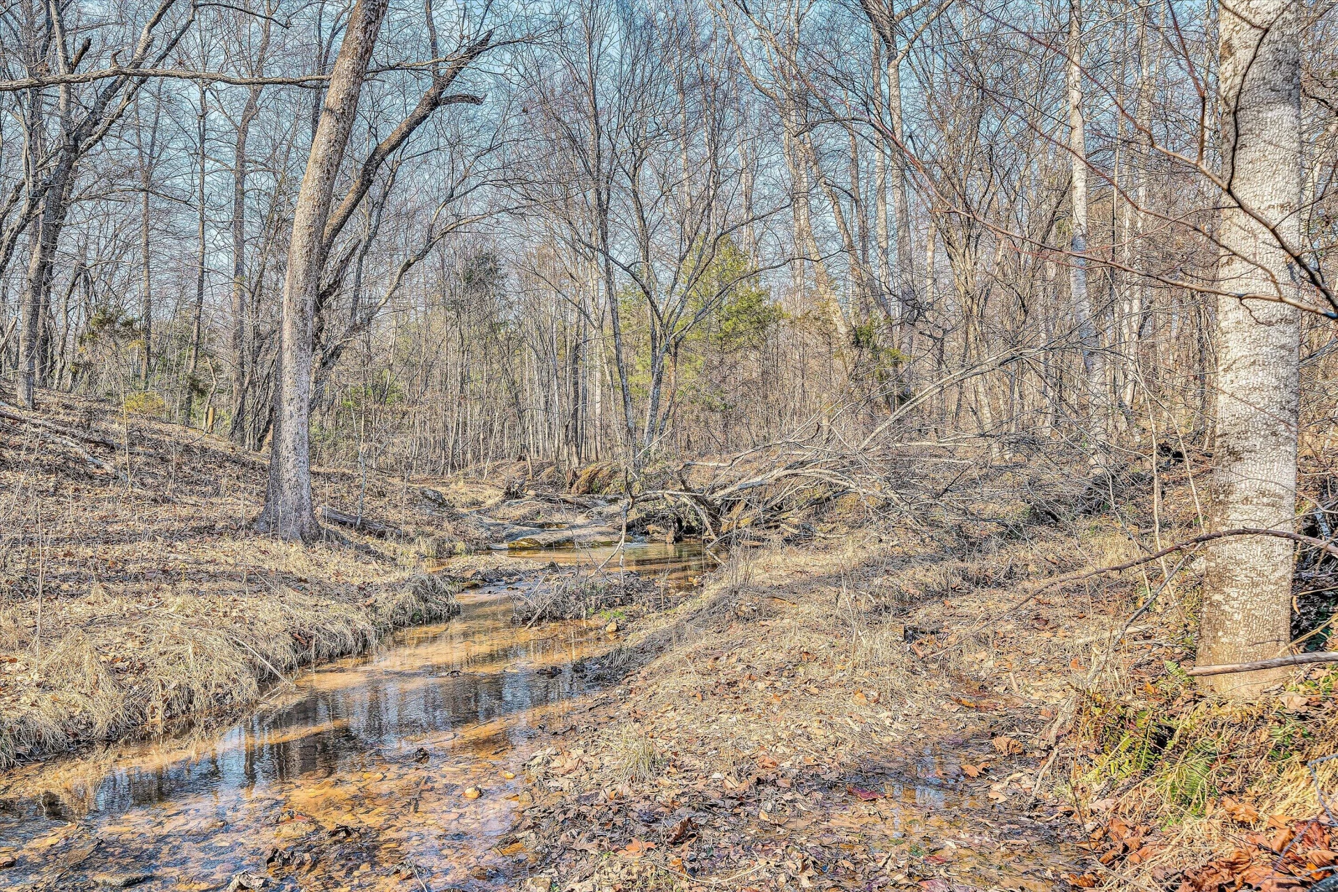 323 DEERBERRY LN - Photo 5