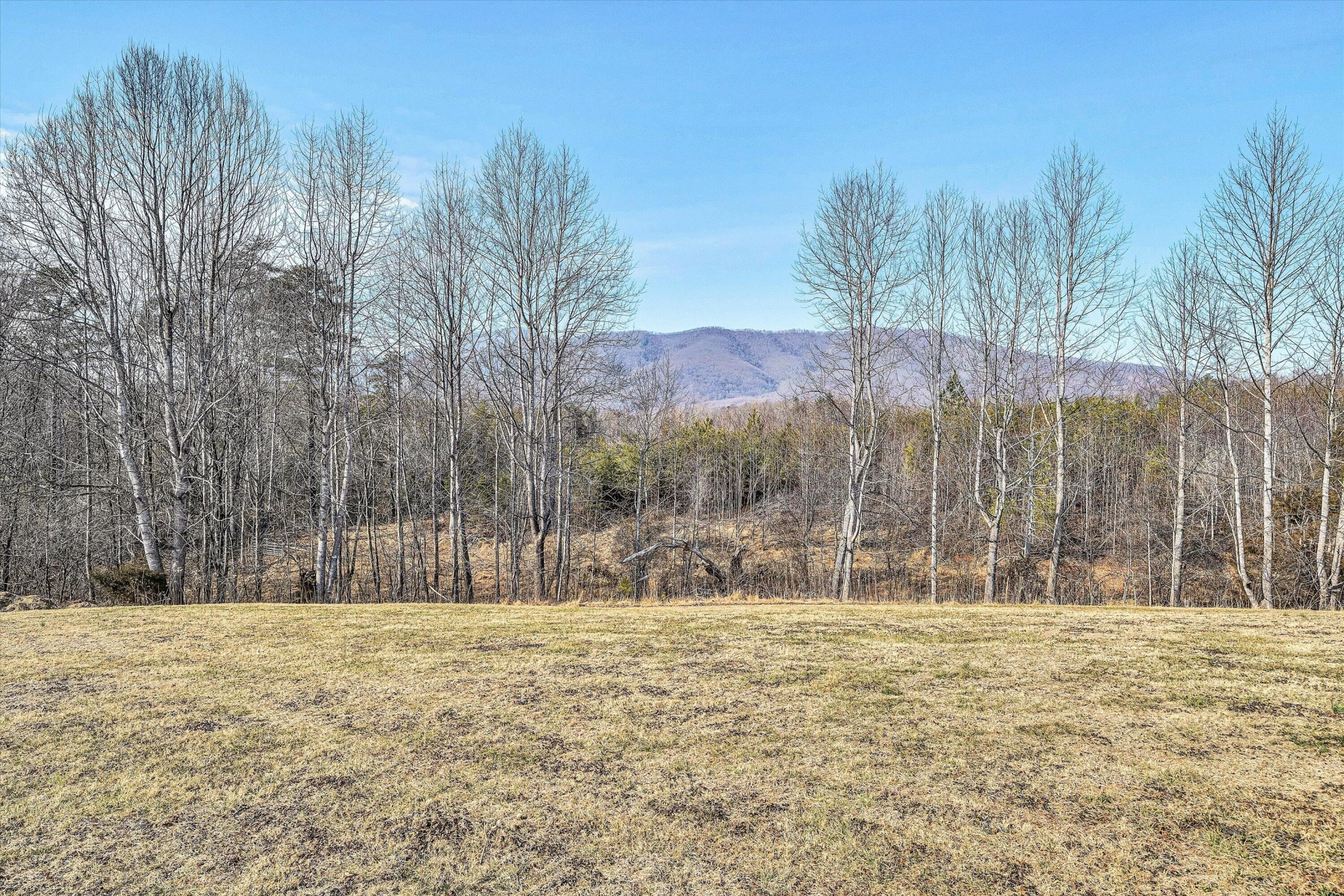 323 DEERBERRY LN - Photo 81