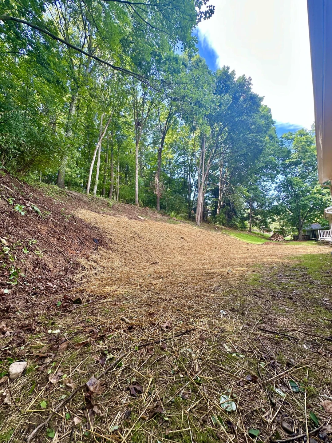 105 Ridgewood CIR - Photo 43