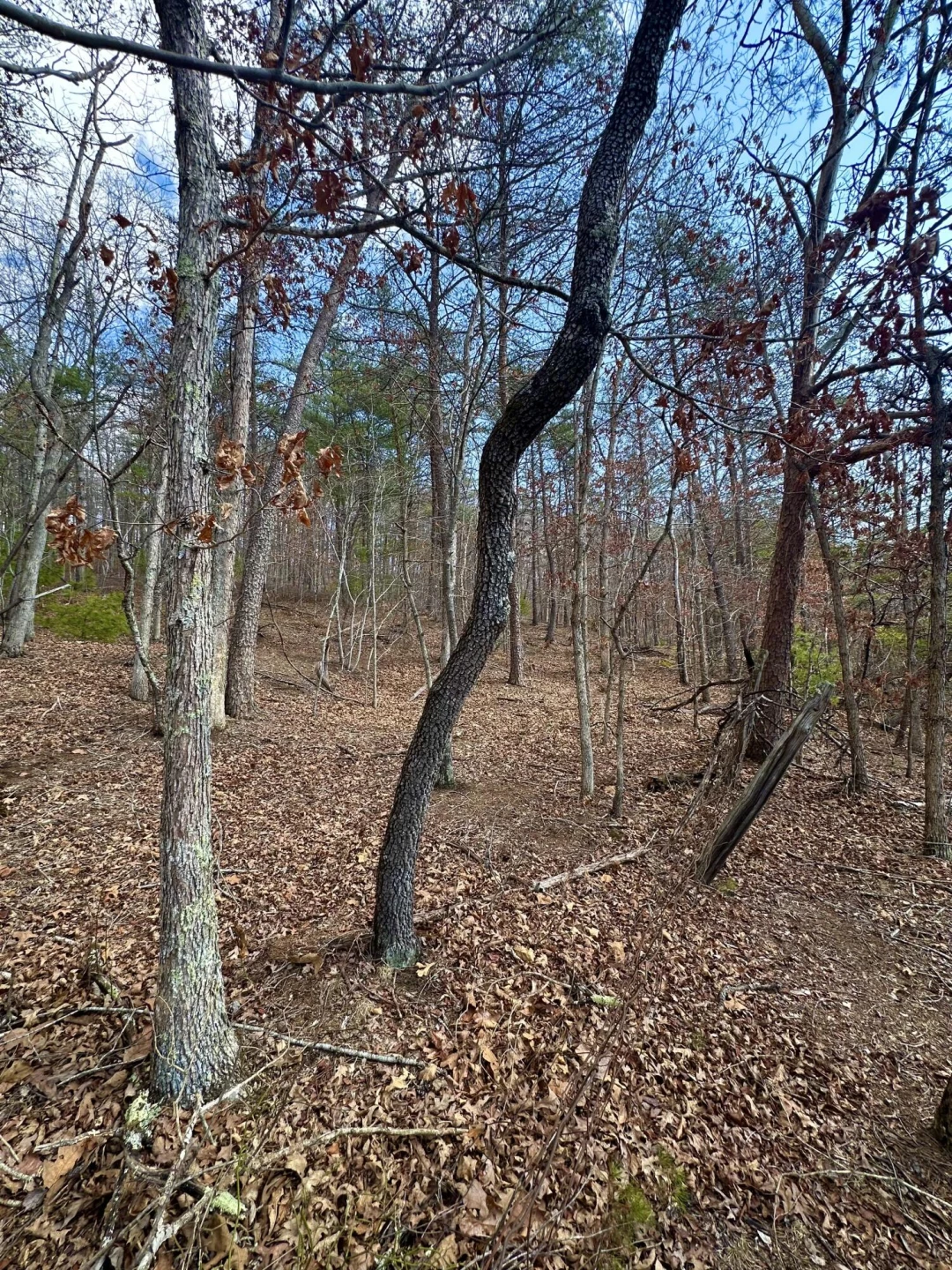 000 Bennington LN - Photo 10