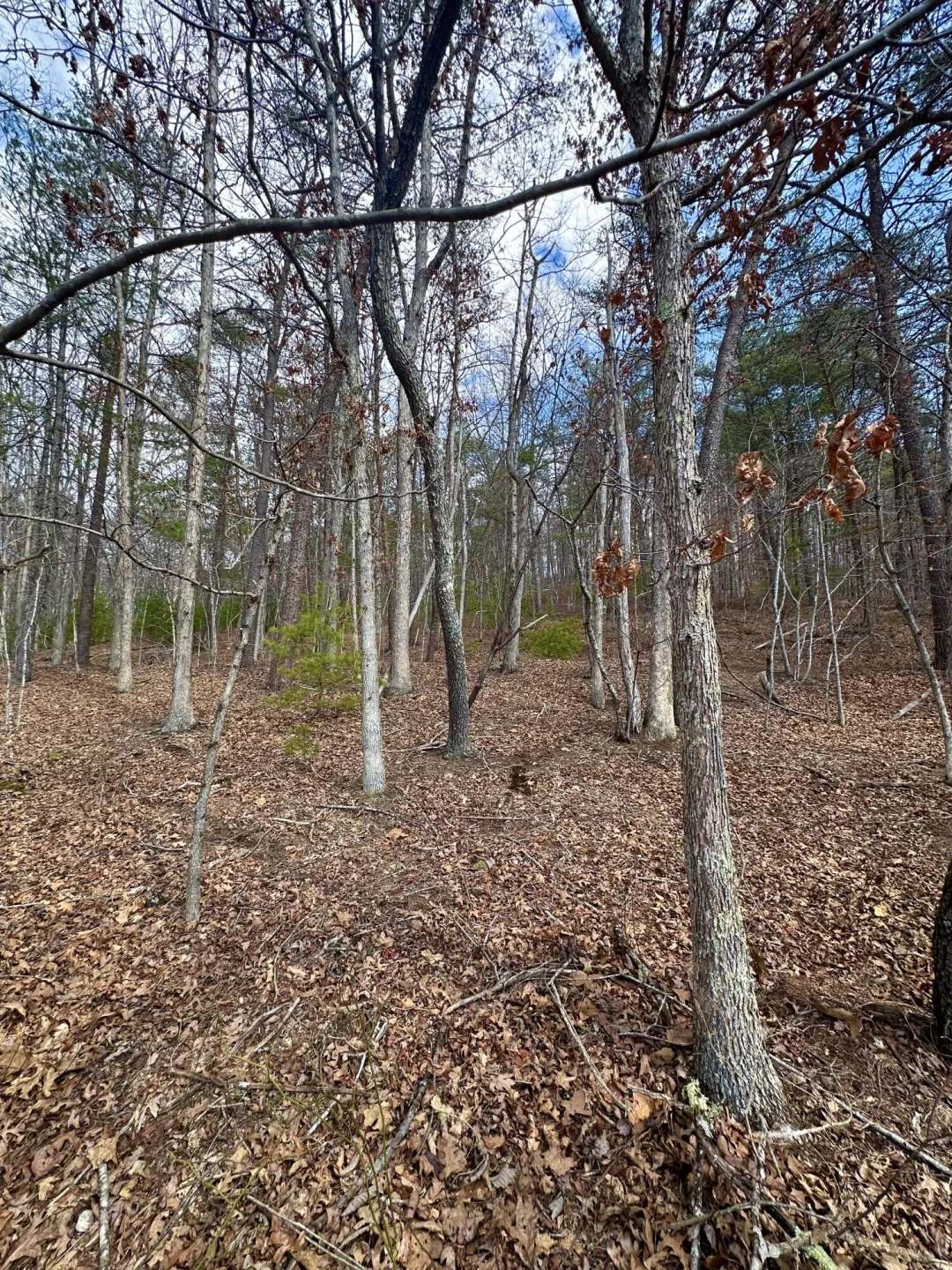 000 Bennington LN - Photo 11