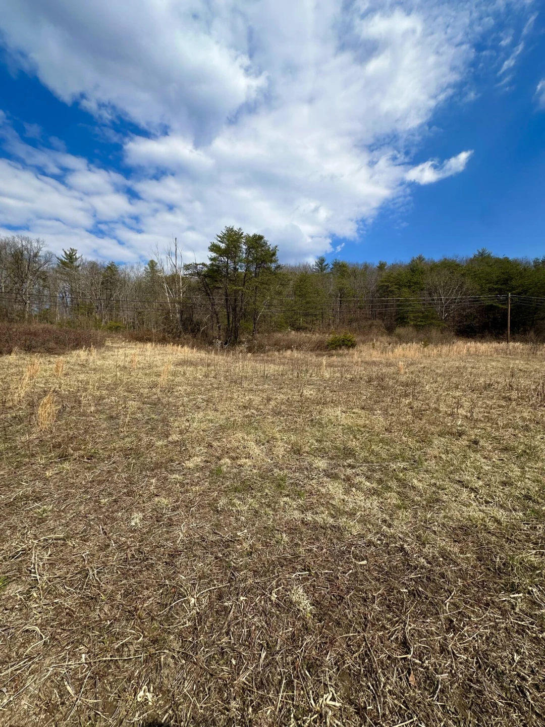 000 Bennington LN - Photo 12