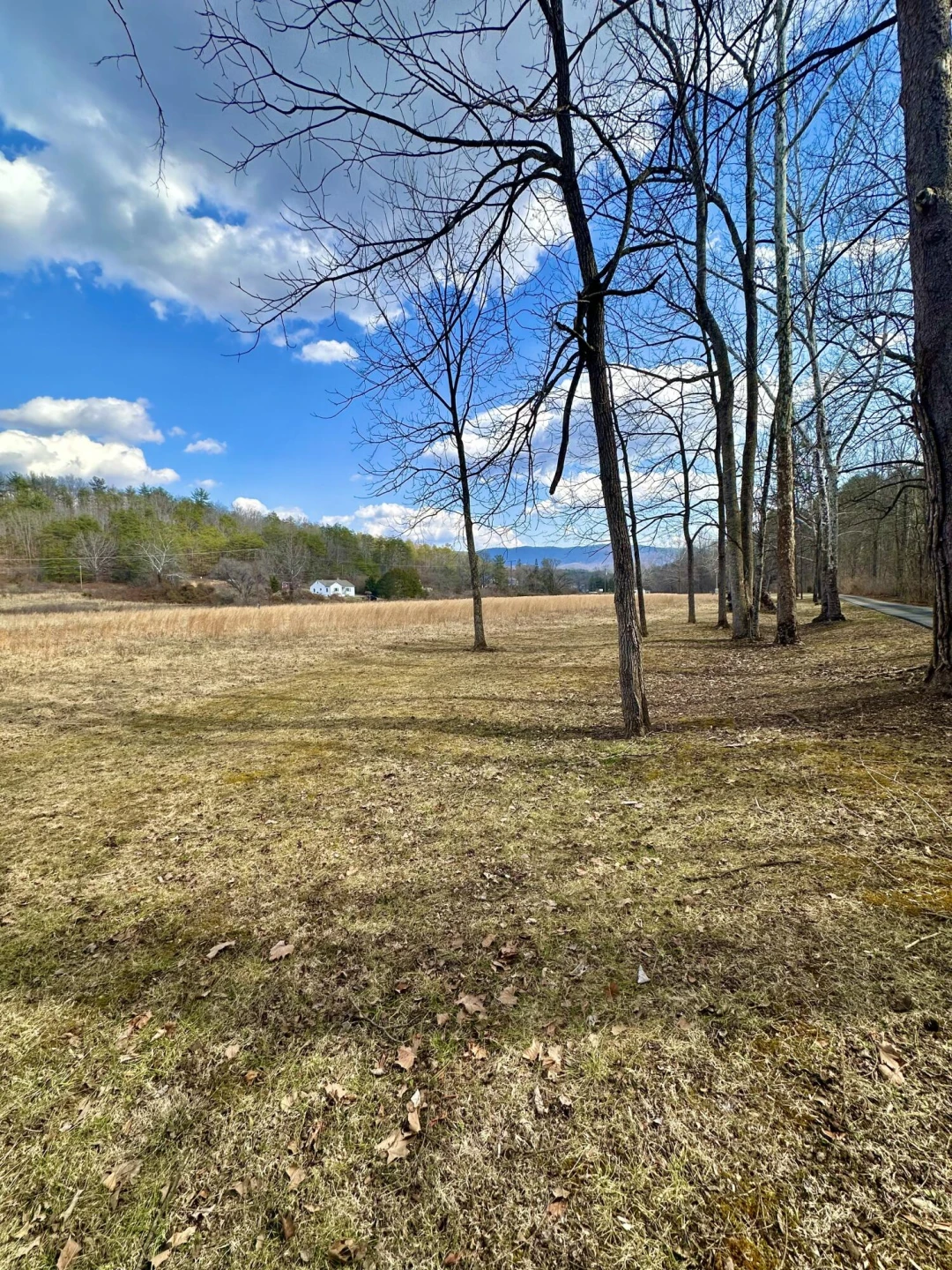 000 Bennington LN - Photo 2