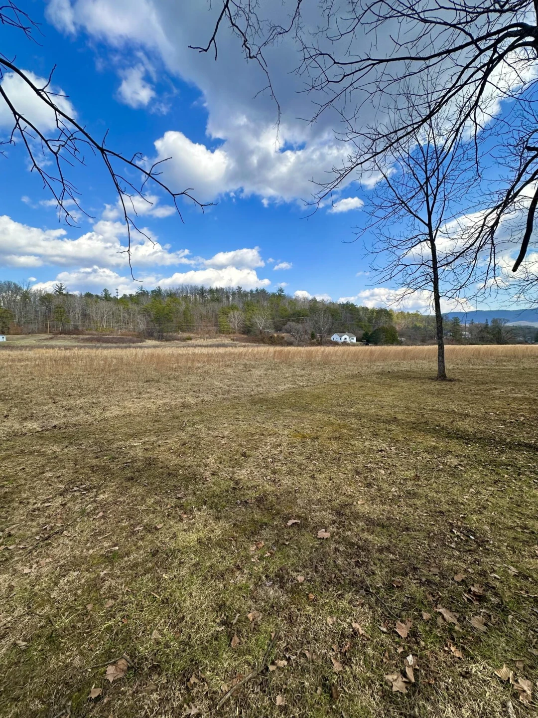 000 Bennington LN - Photo 3