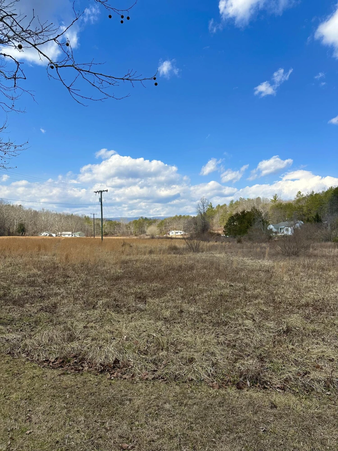 000 Bennington LN - Photo 8