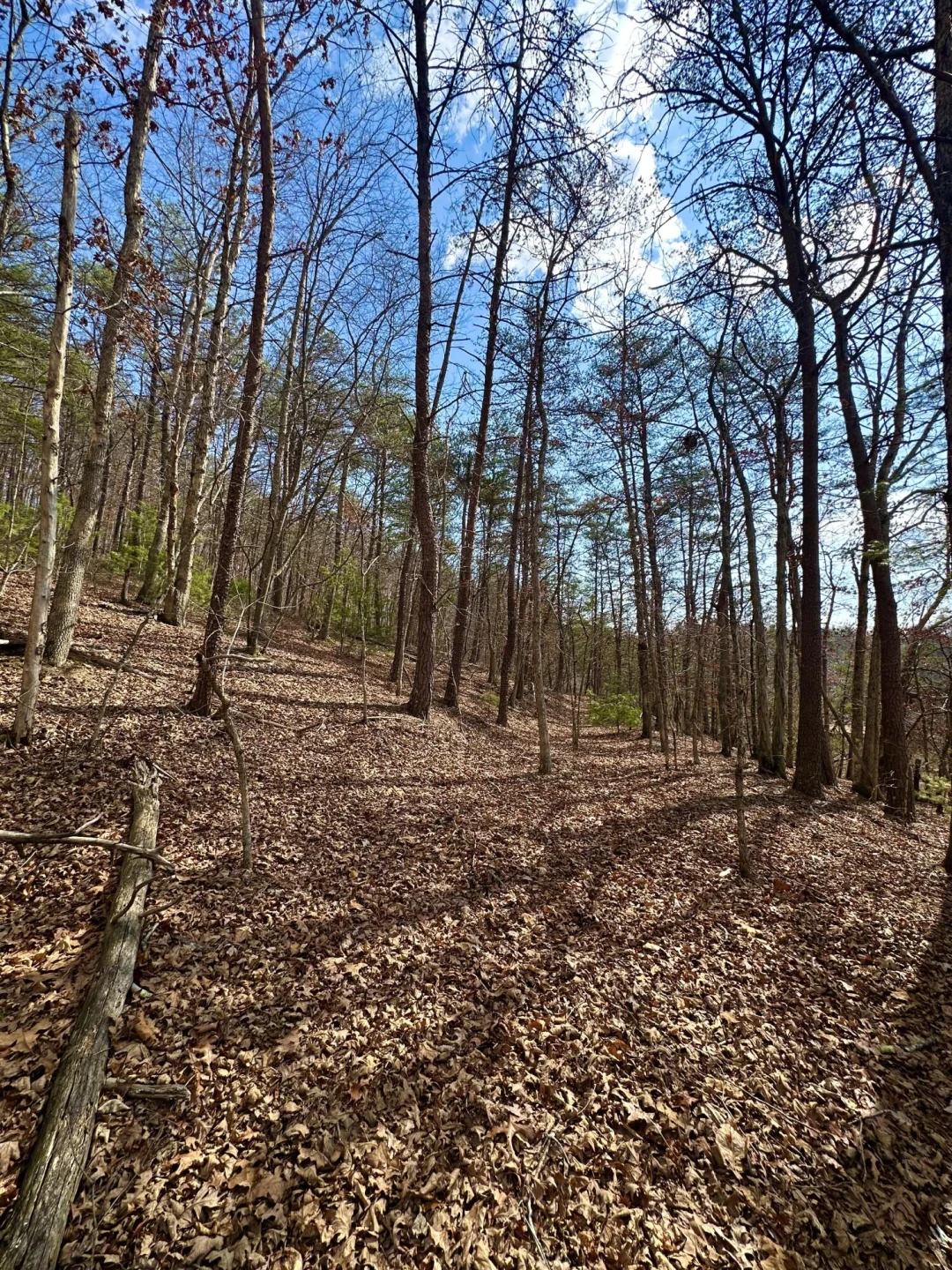 000 Bennington LN - Photo 9