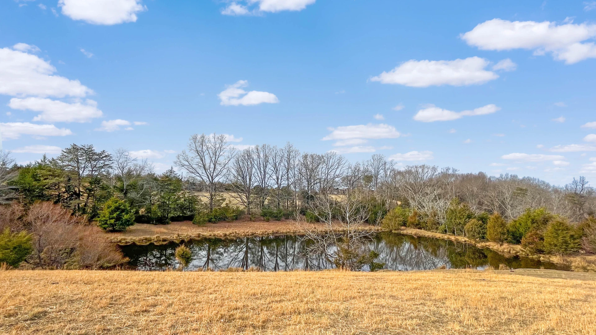 2359 Sago RD - Photo 12