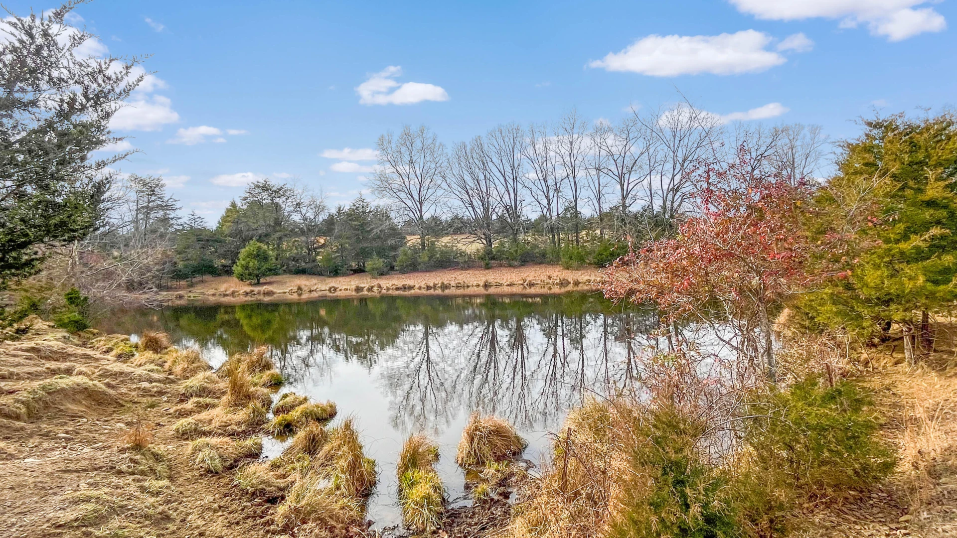 2359 Sago RD - Photo 13