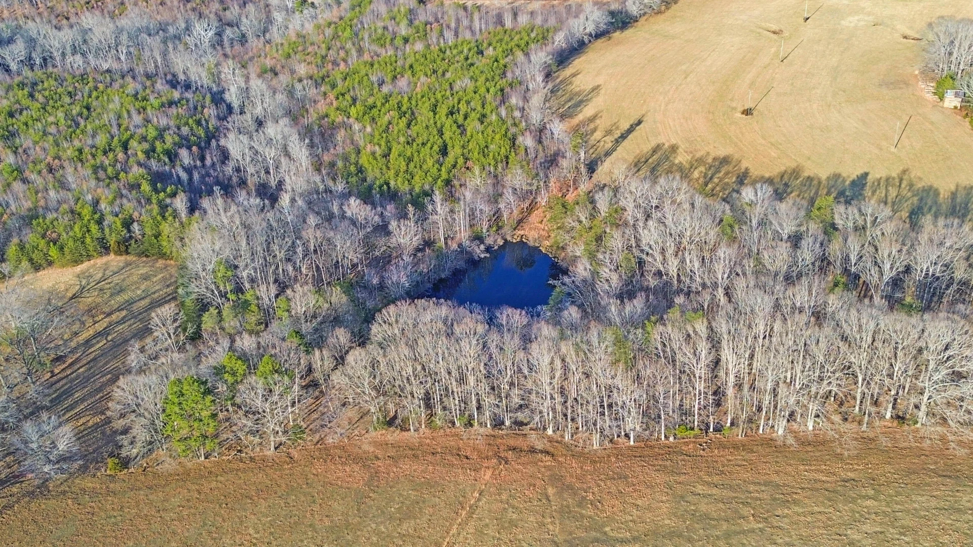 2359 Sago RD - Photo 14