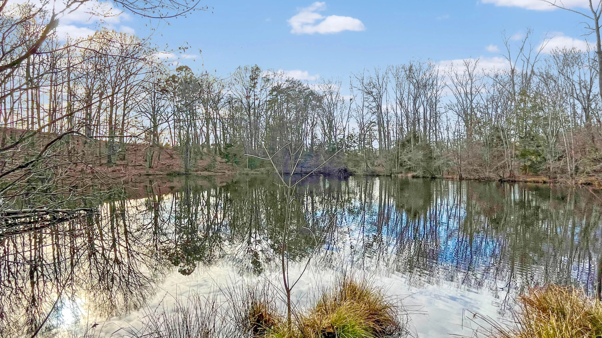 2359 Sago RD - Photo 16