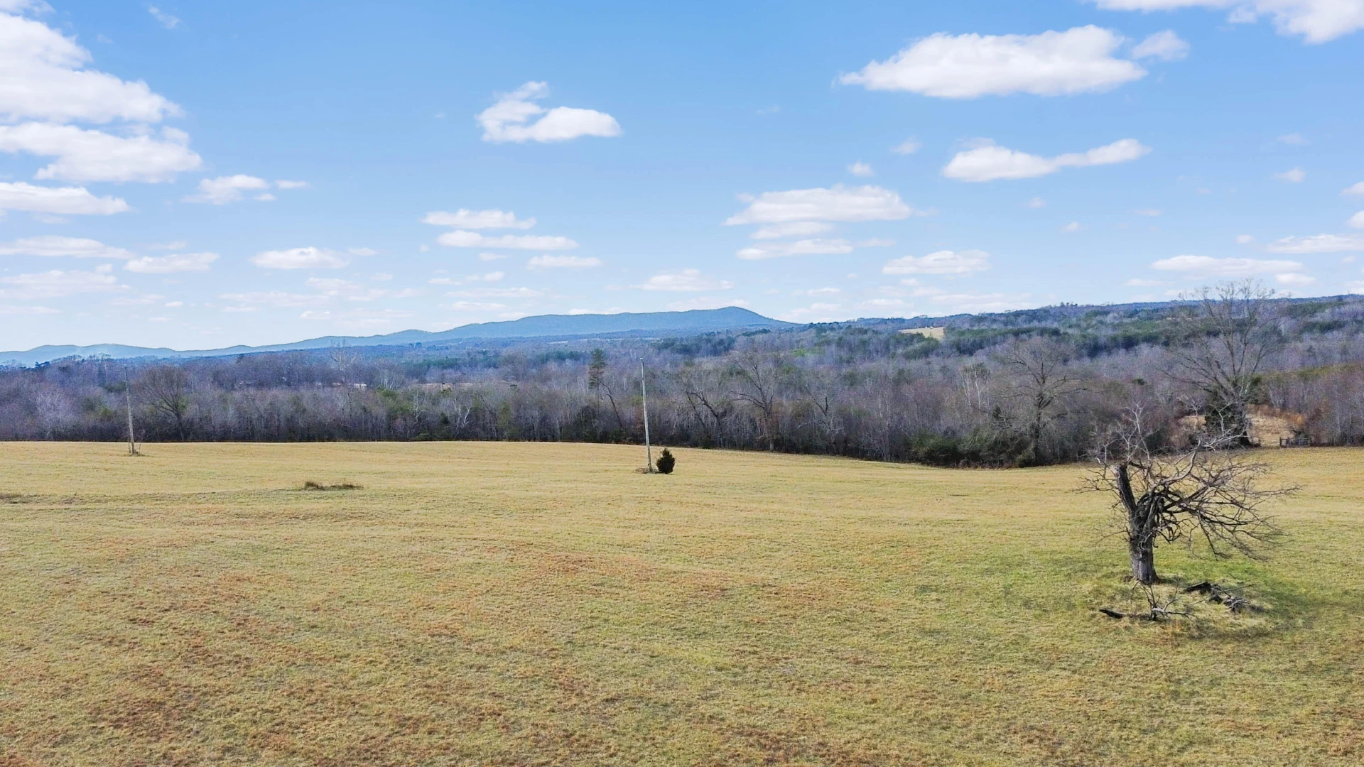 2359 Sago RD - Photo 18