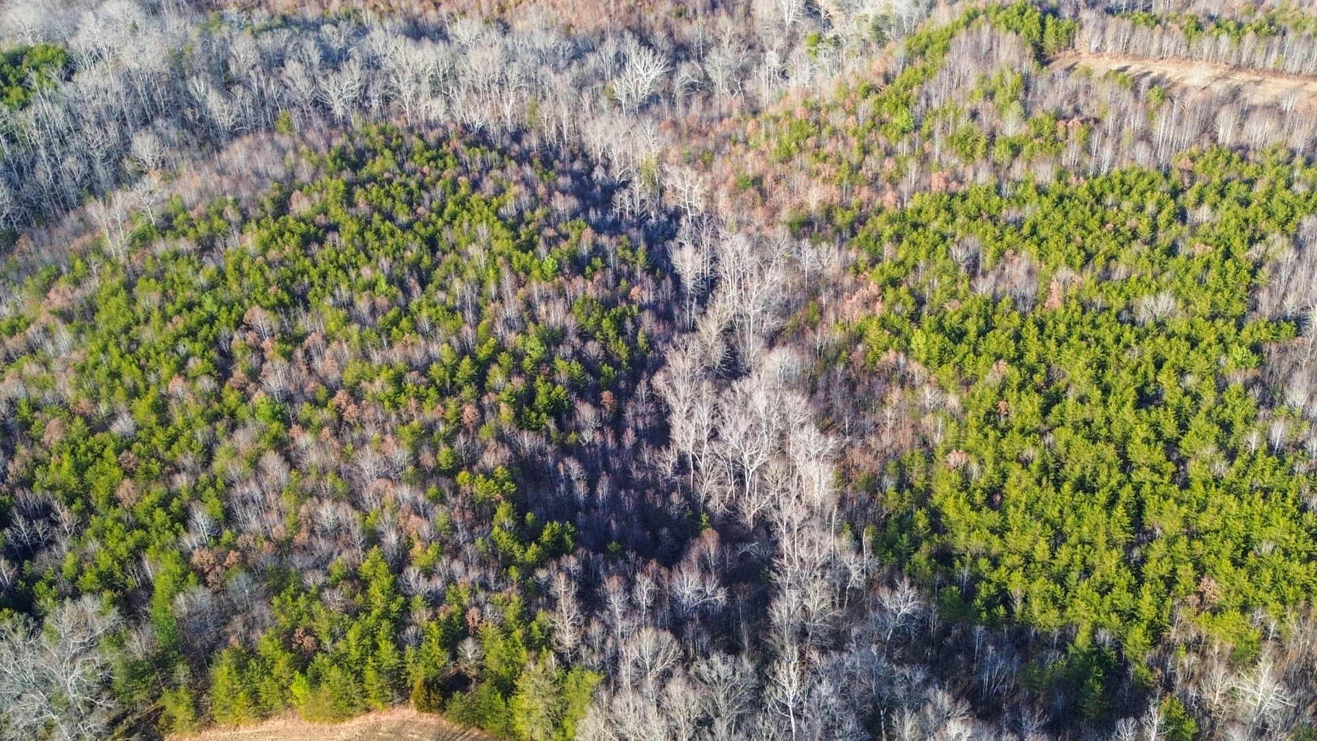 2359 Sago RD - Photo 19