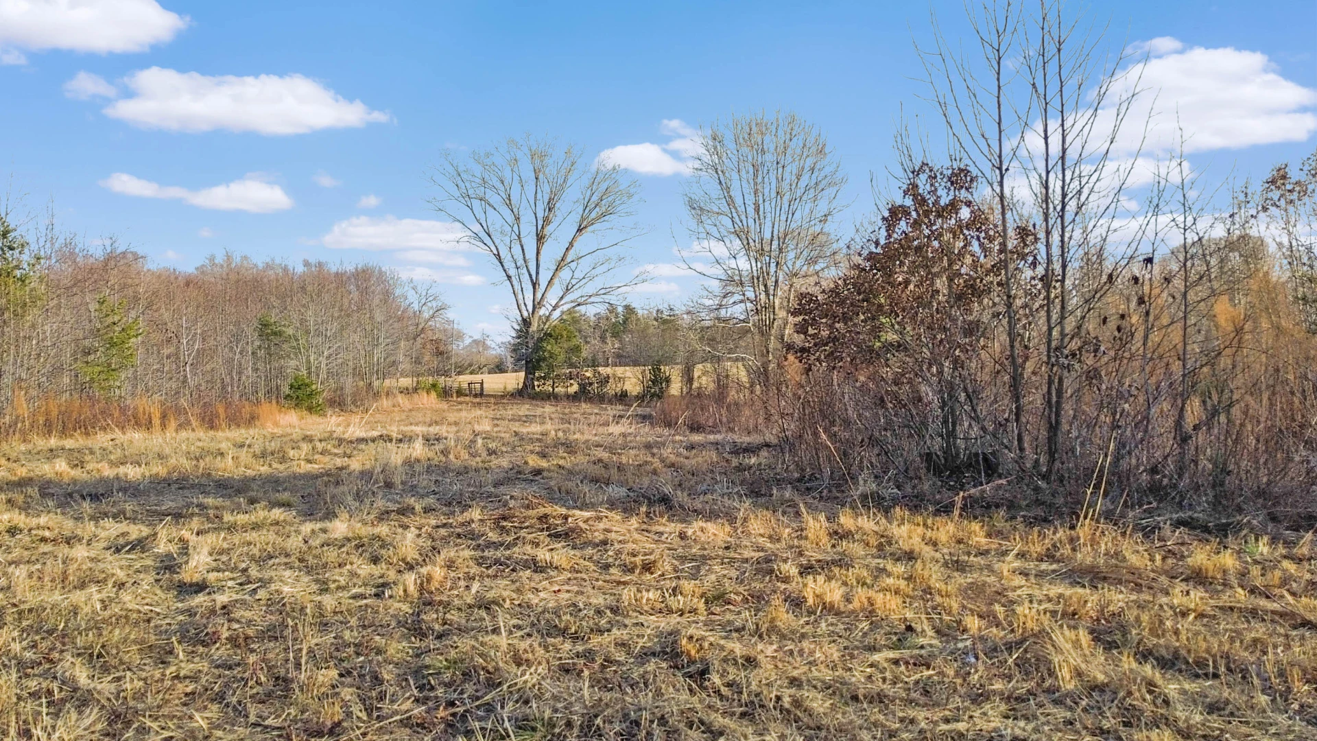 2359 Sago RD - Photo 23
