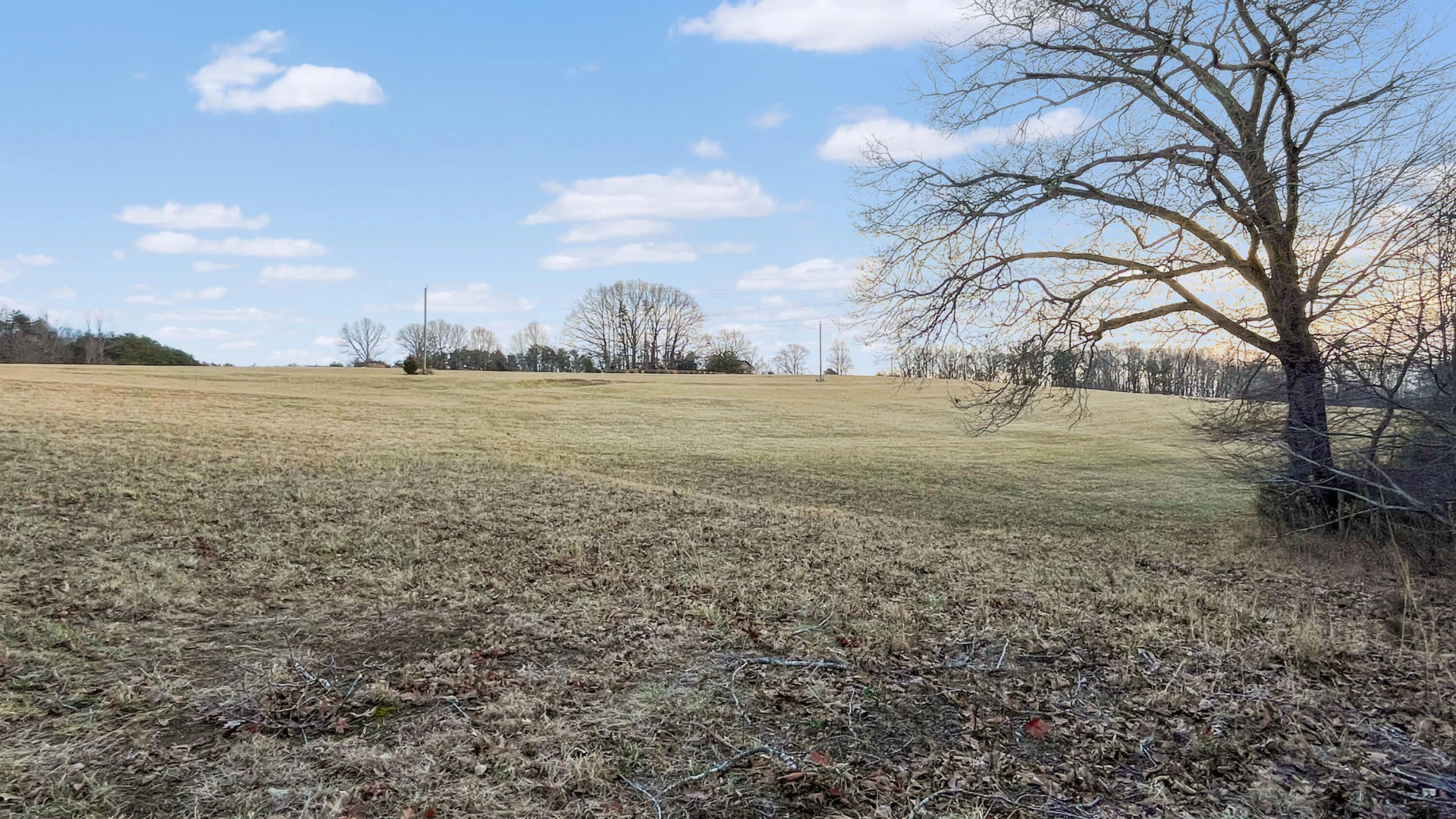 2359 Sago RD - Photo 31