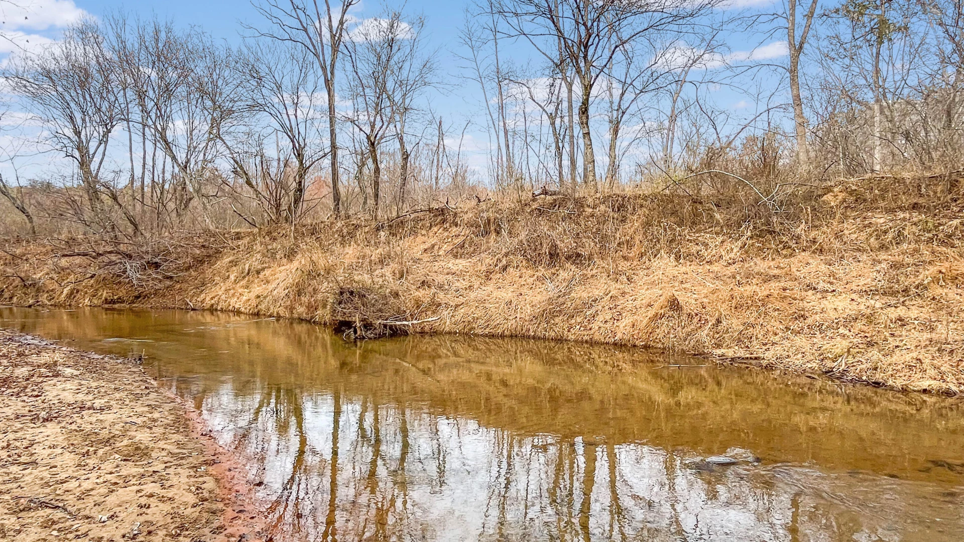 2359 Sago RD - Photo 32