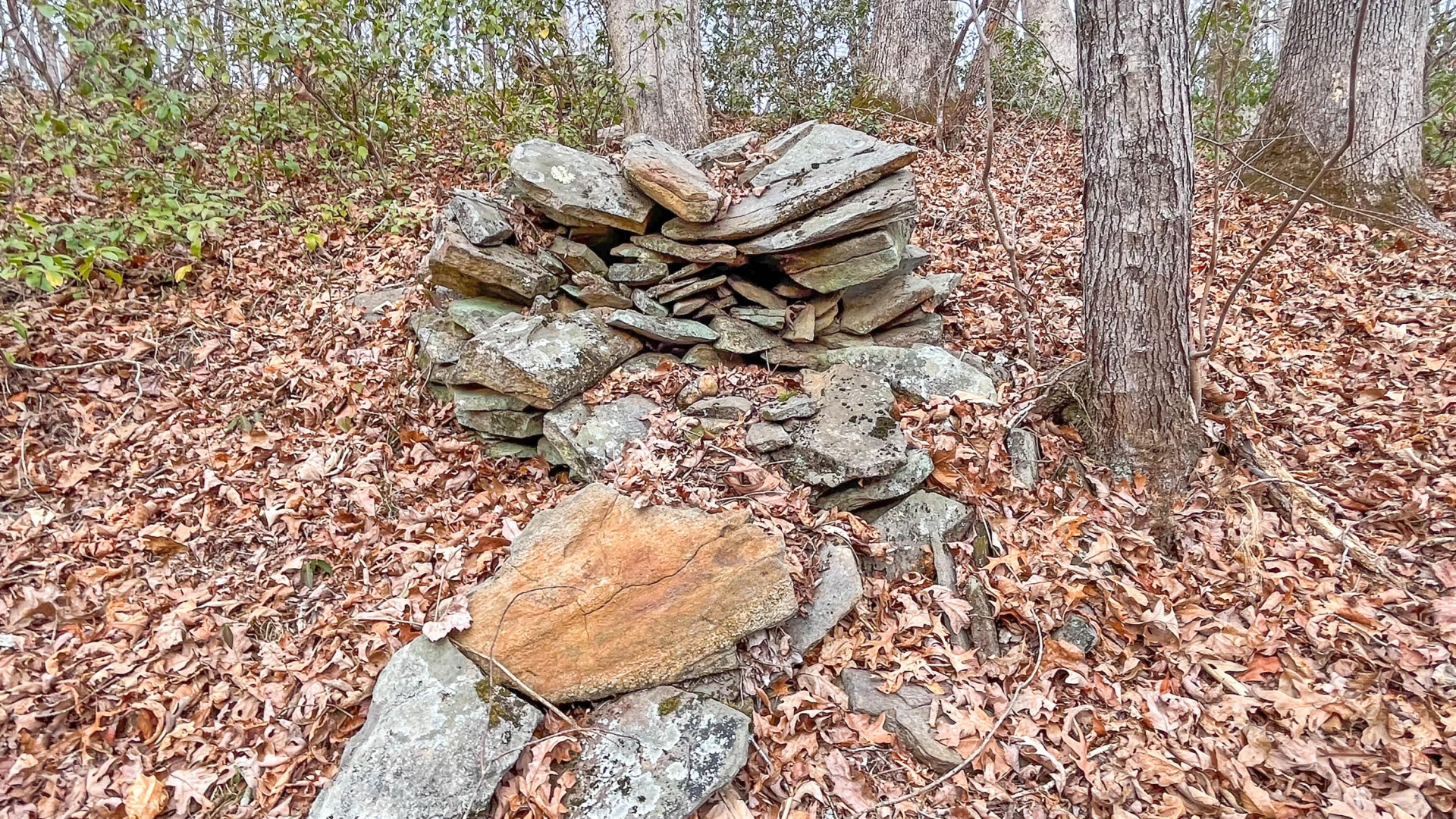 2359 Sago RD - Photo 36