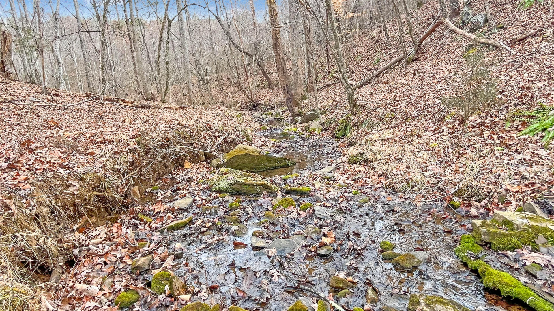 2359 Sago RD - Photo 38