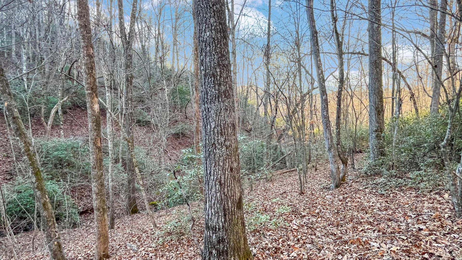 2359 Sago RD - Photo 41