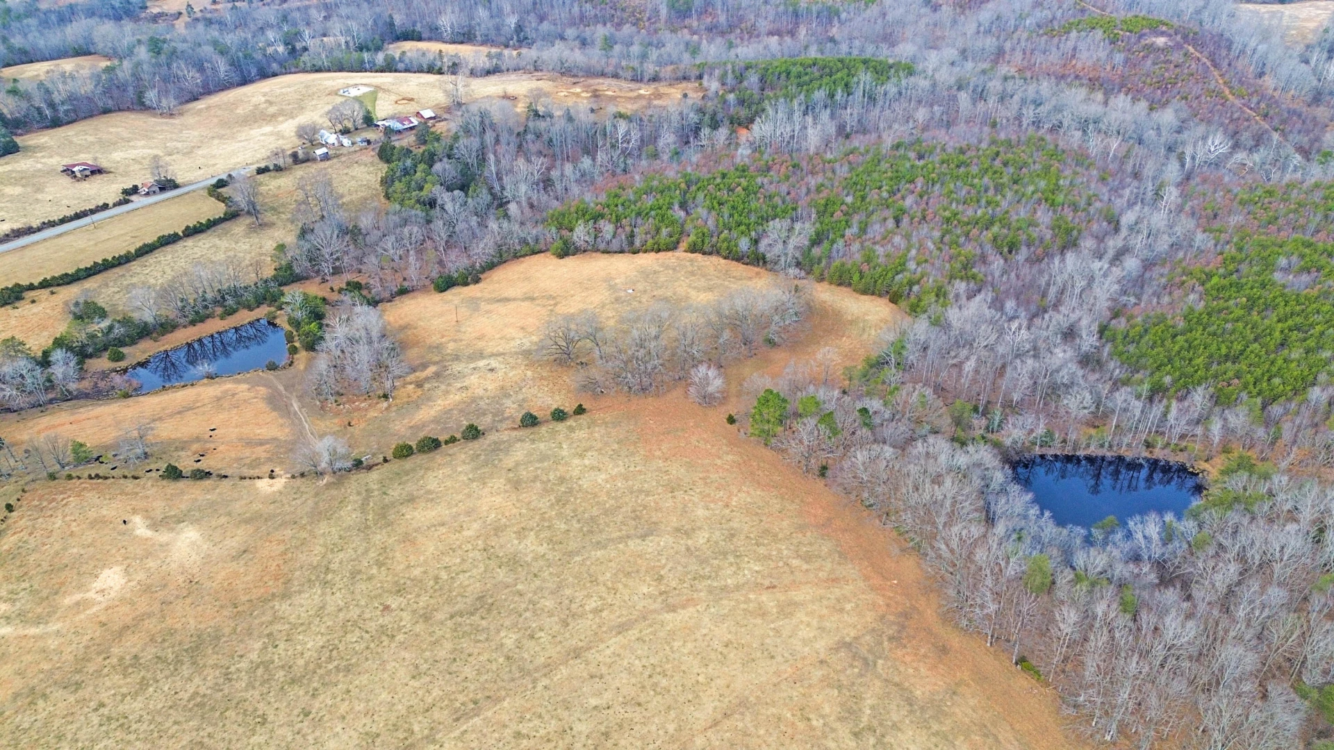 2359 Sago RD - Photo 9