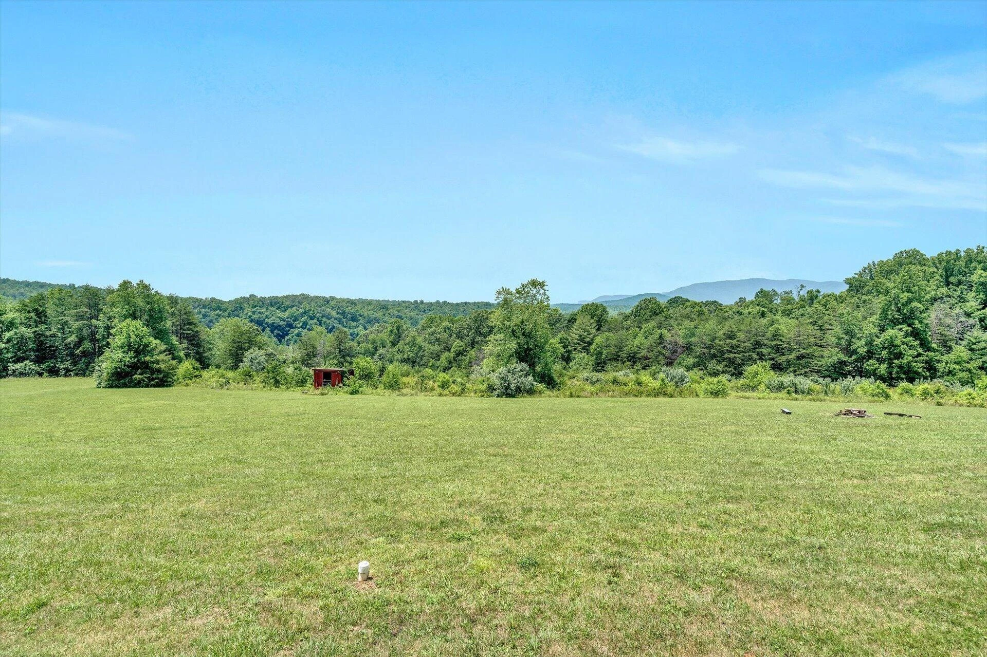2446 DEER RUN RD - Photo 11