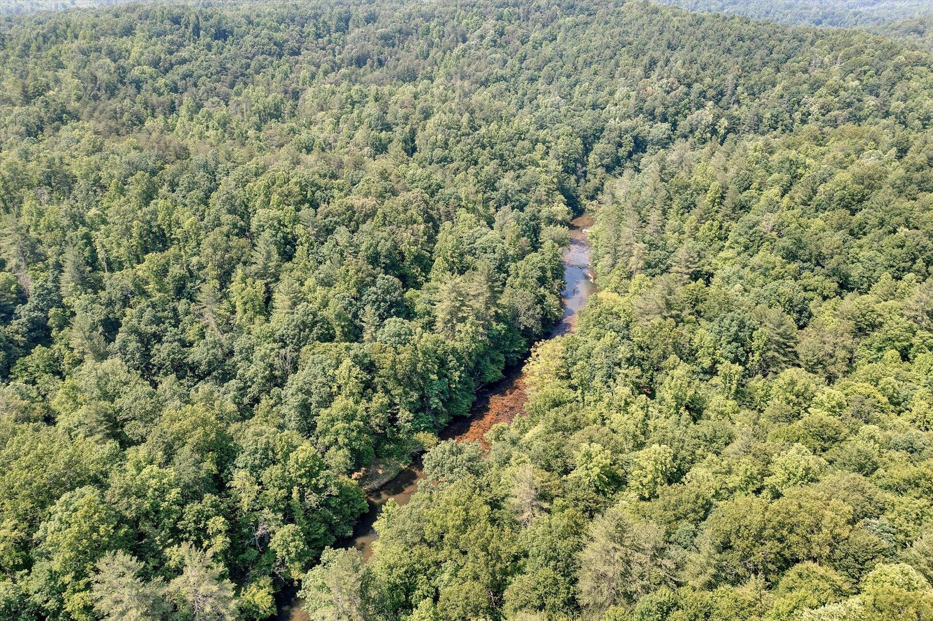 2446 DEER RUN RD - Photo 125