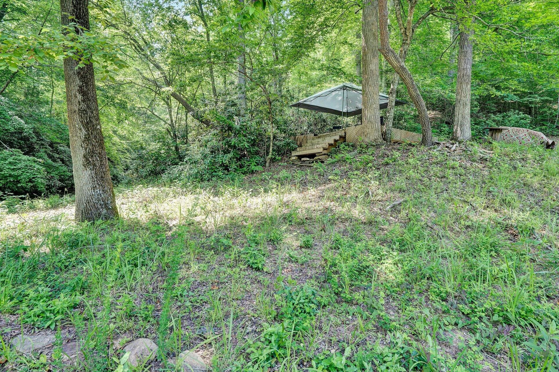 2446 DEER RUN RD - Photo 32