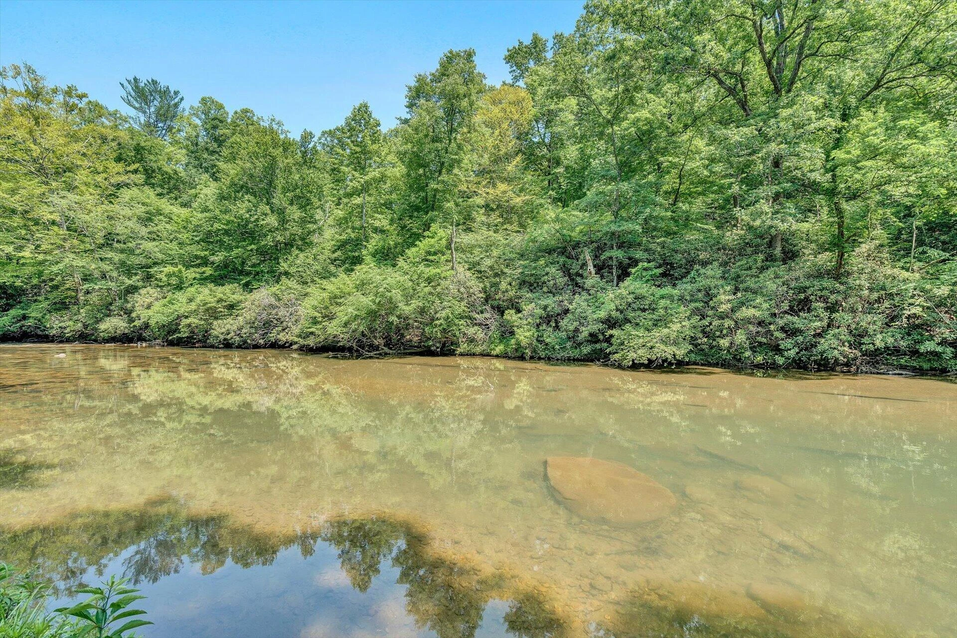 2446 DEER RUN RD - Photo 67