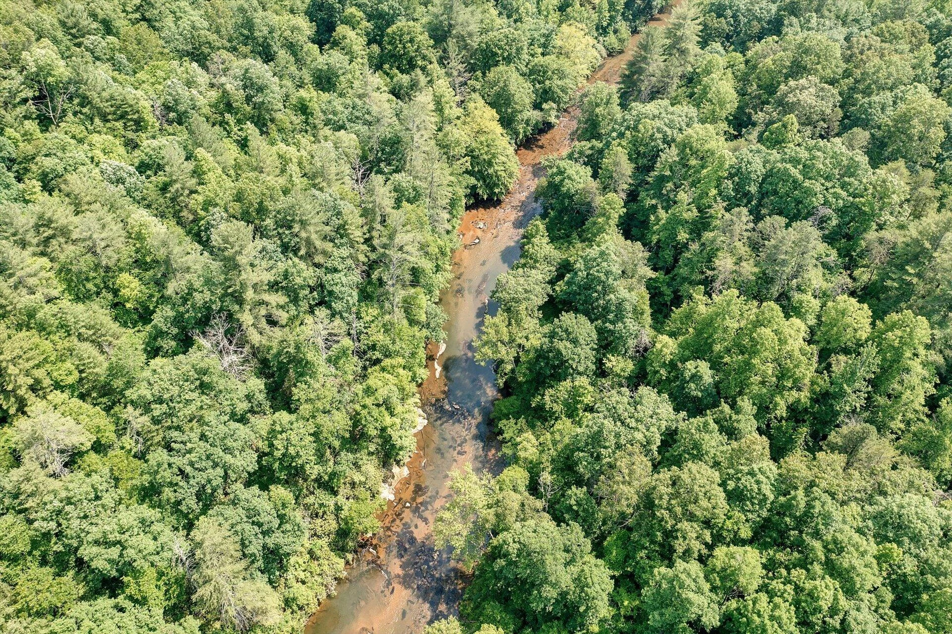 2446 DEER RUN RD - Photo 7