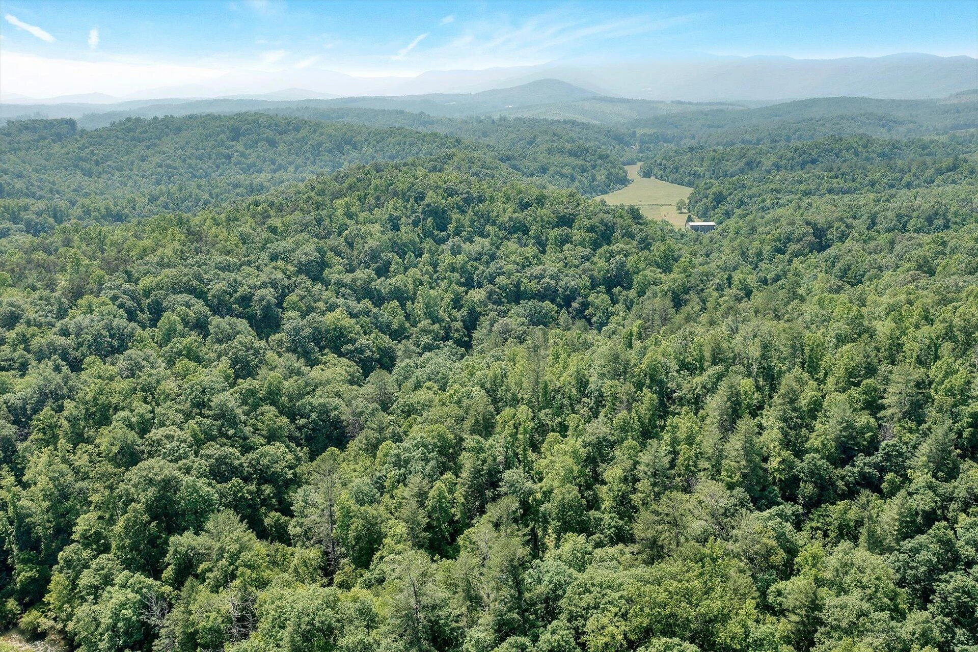 2446 DEER RUN RD - Photo 11