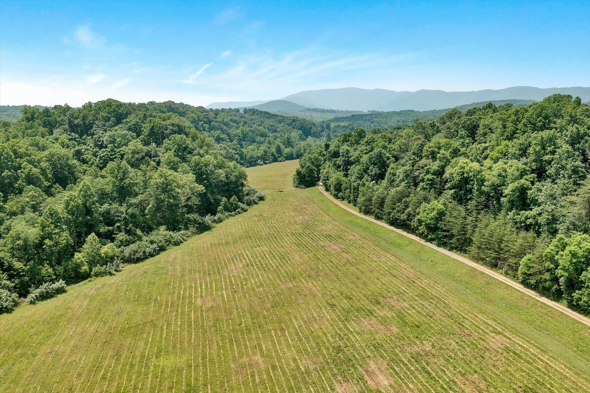 2446 DEER RUN RD - Photo 131