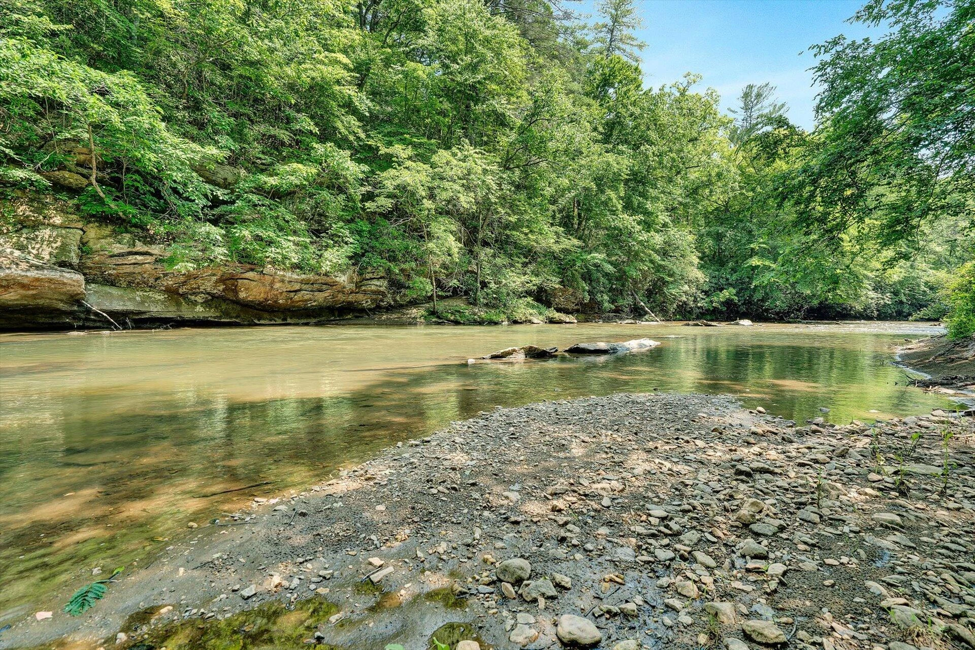 2446 DEER RUN RD - Photo 137