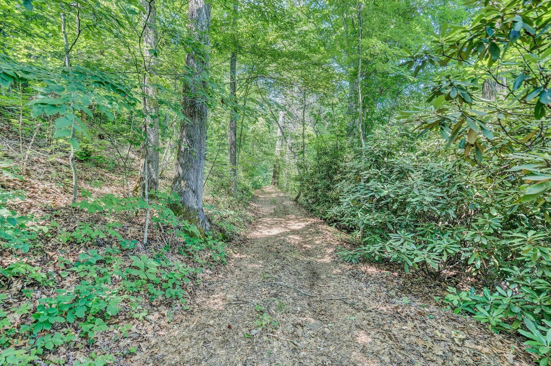 2446 DEER RUN RD - Photo 143