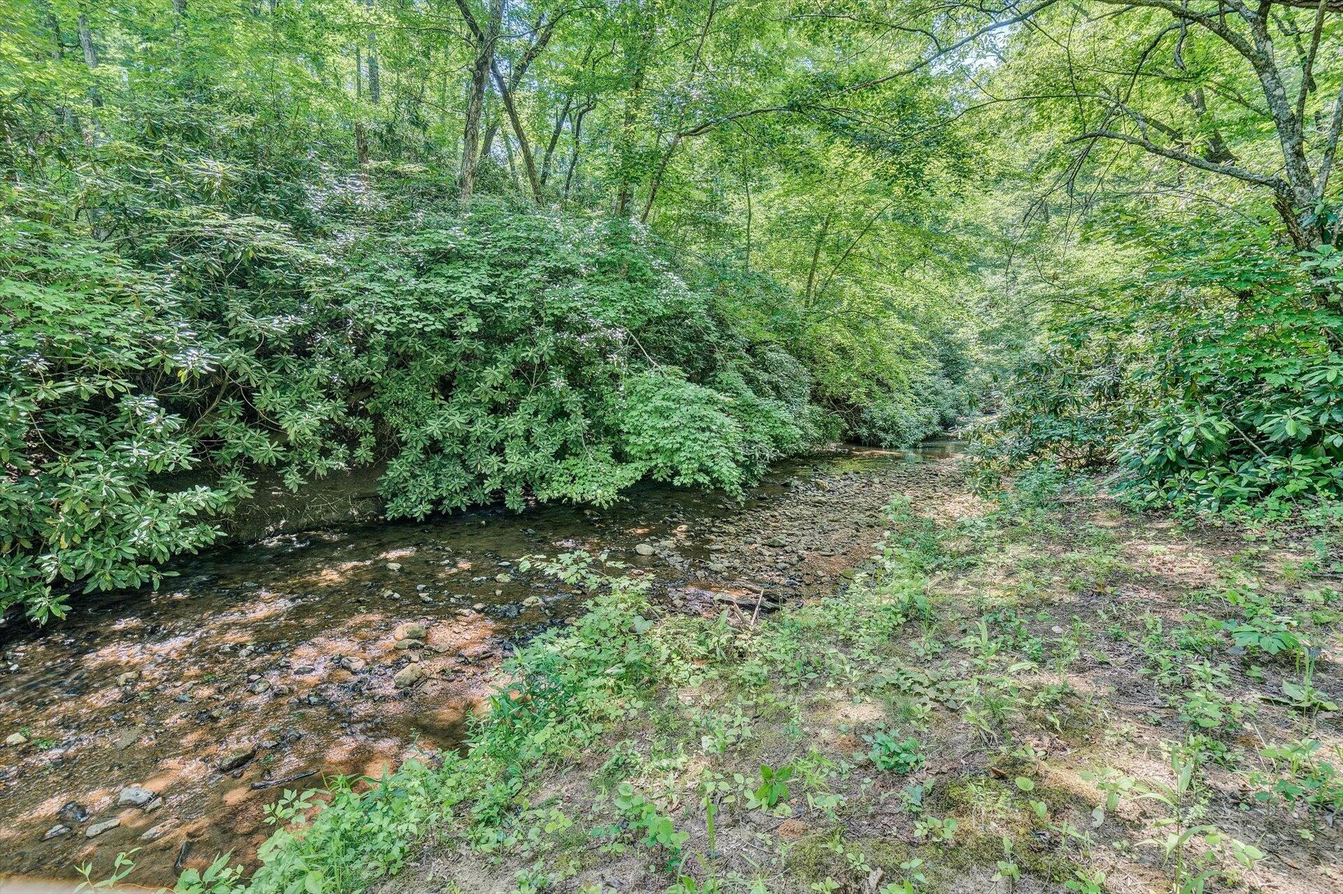 2446 DEER RUN RD - Photo 145