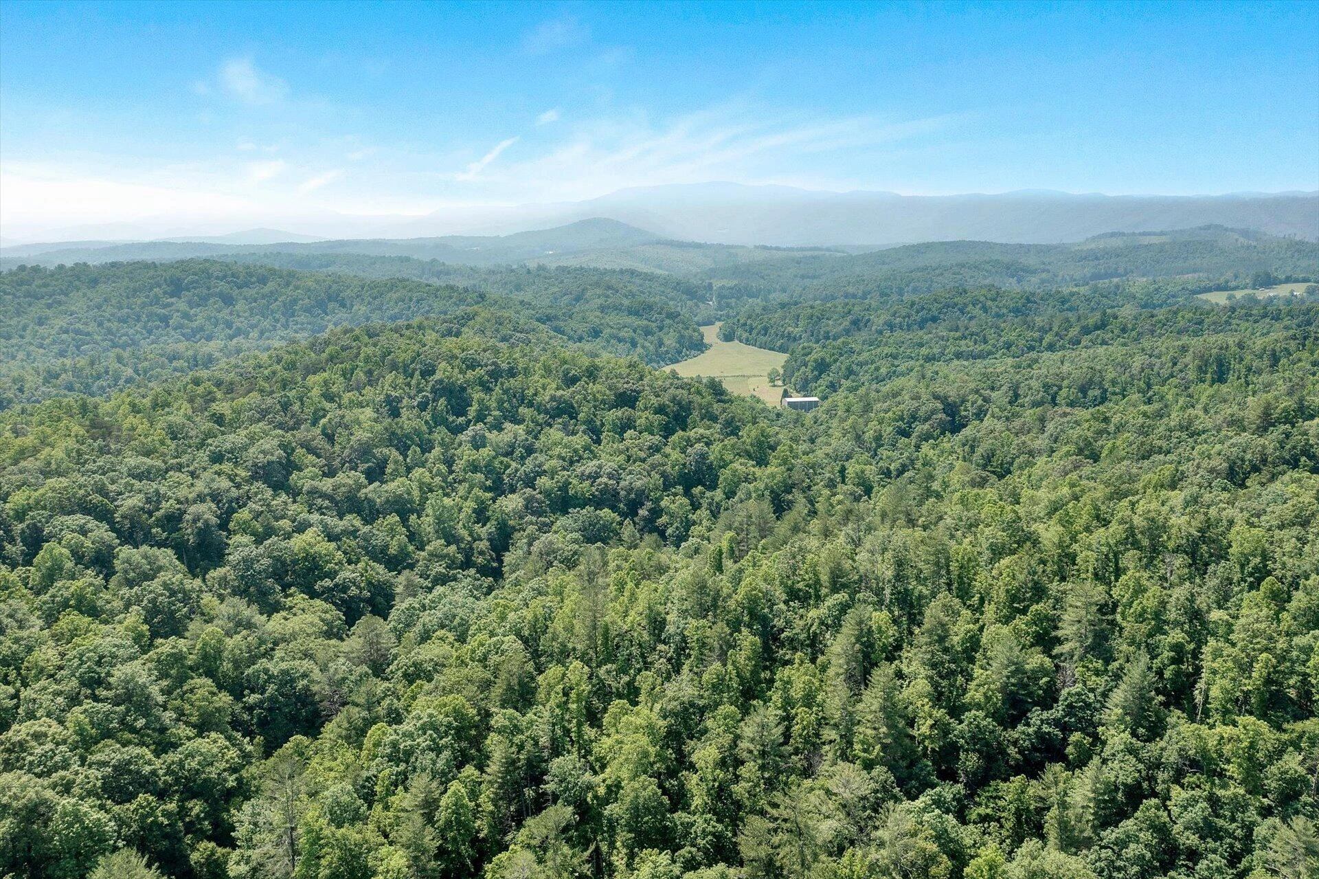 2446 DEER RUN RD - Photo 146