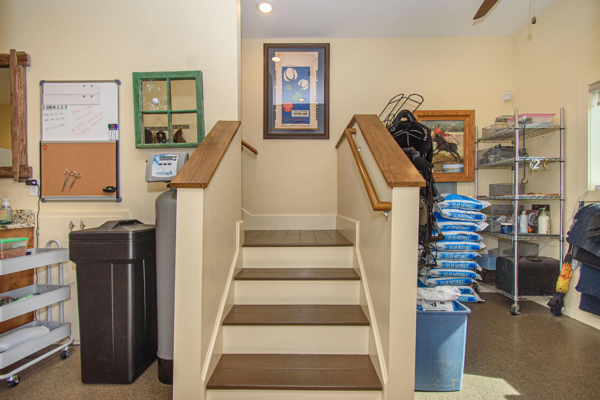 5600 Mount Tabor RD - Photo 76