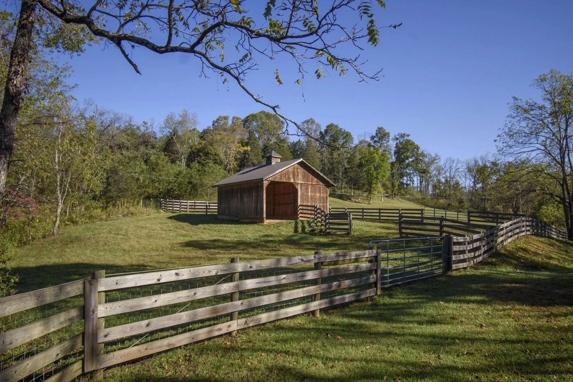 5600 Mount Tabor RD - Photo 95