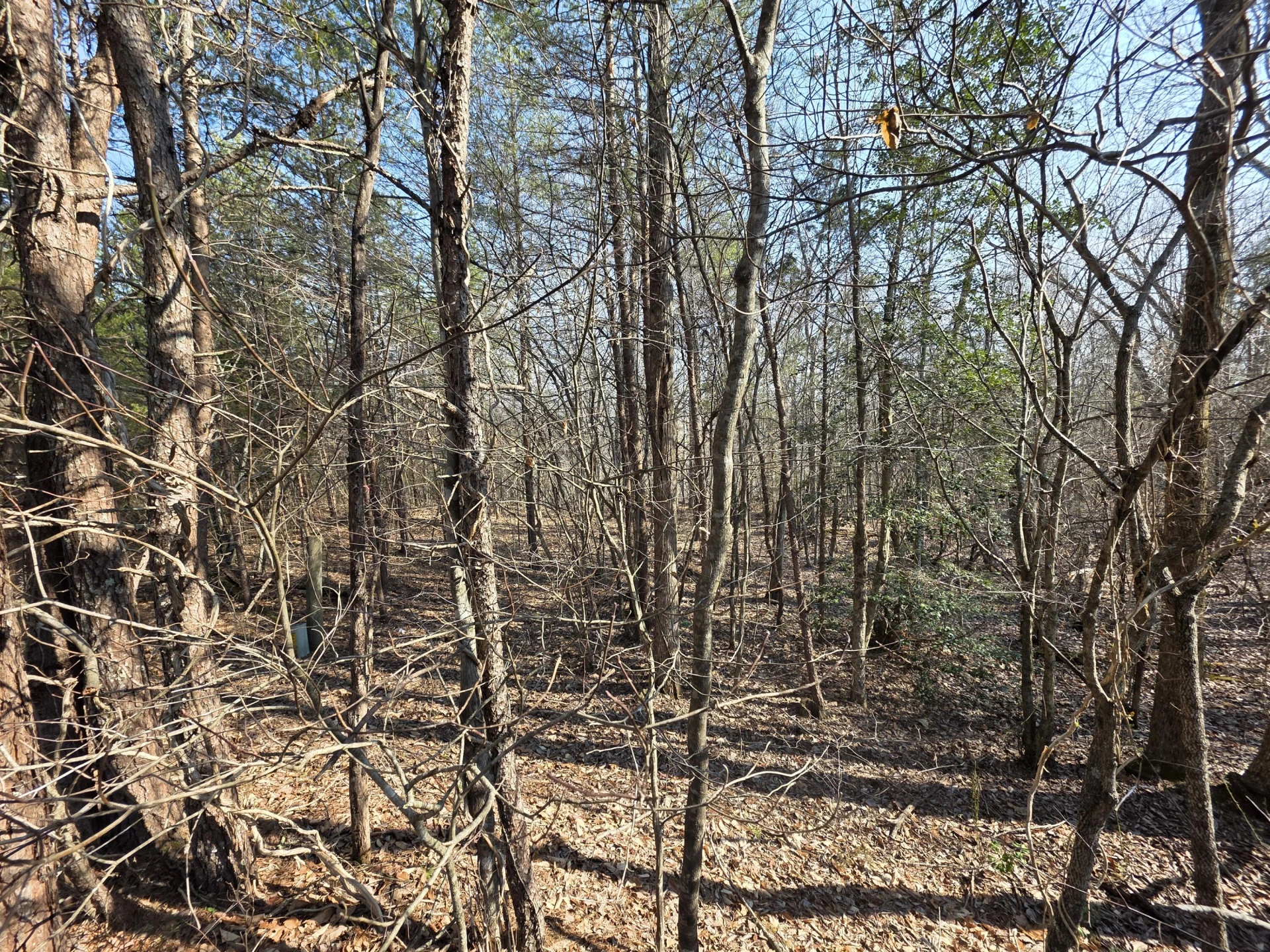Lot 20 Reservoir View CT - Photo 10