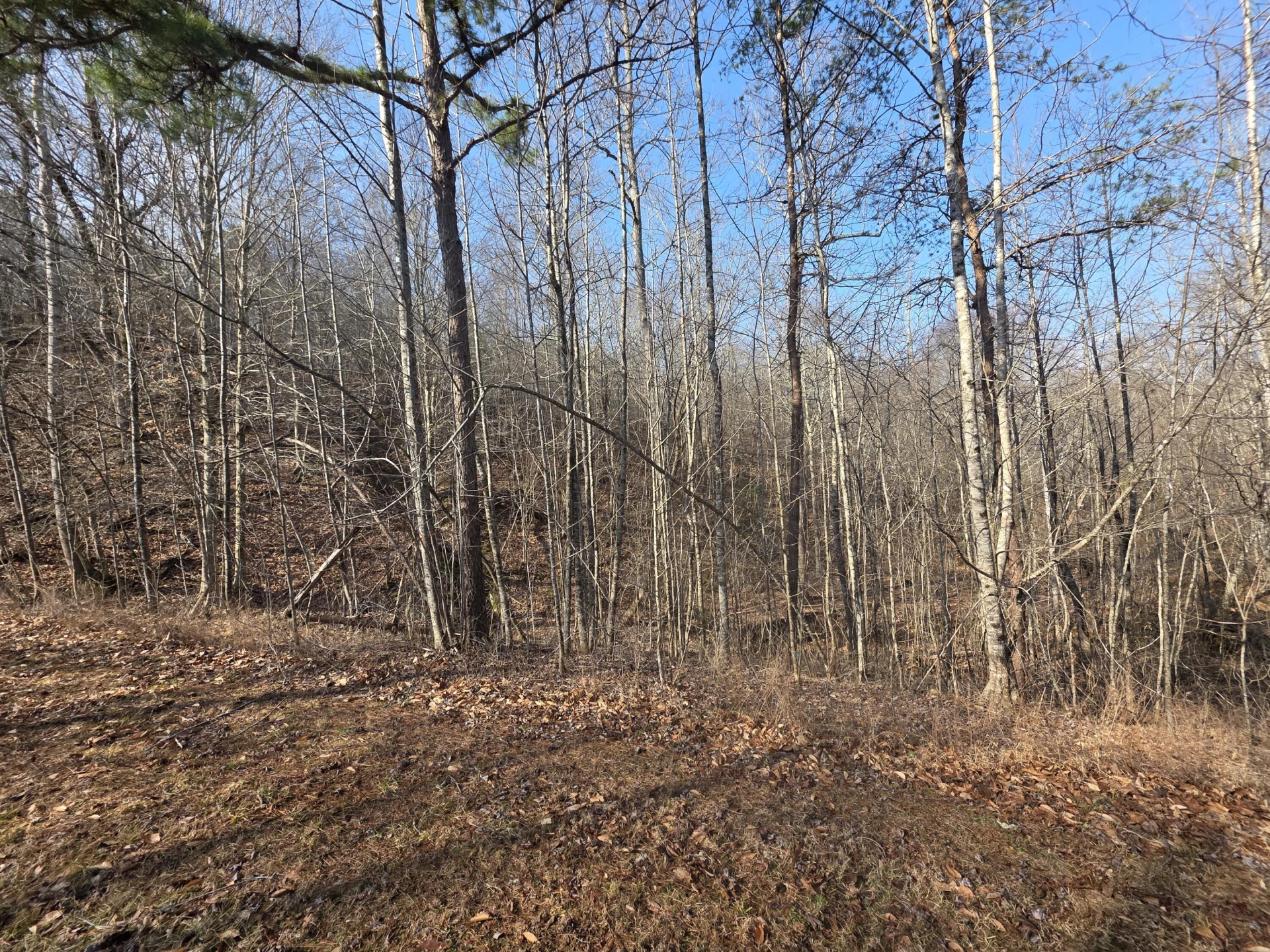 Lot 20 Reservoir View CT - Photo 7