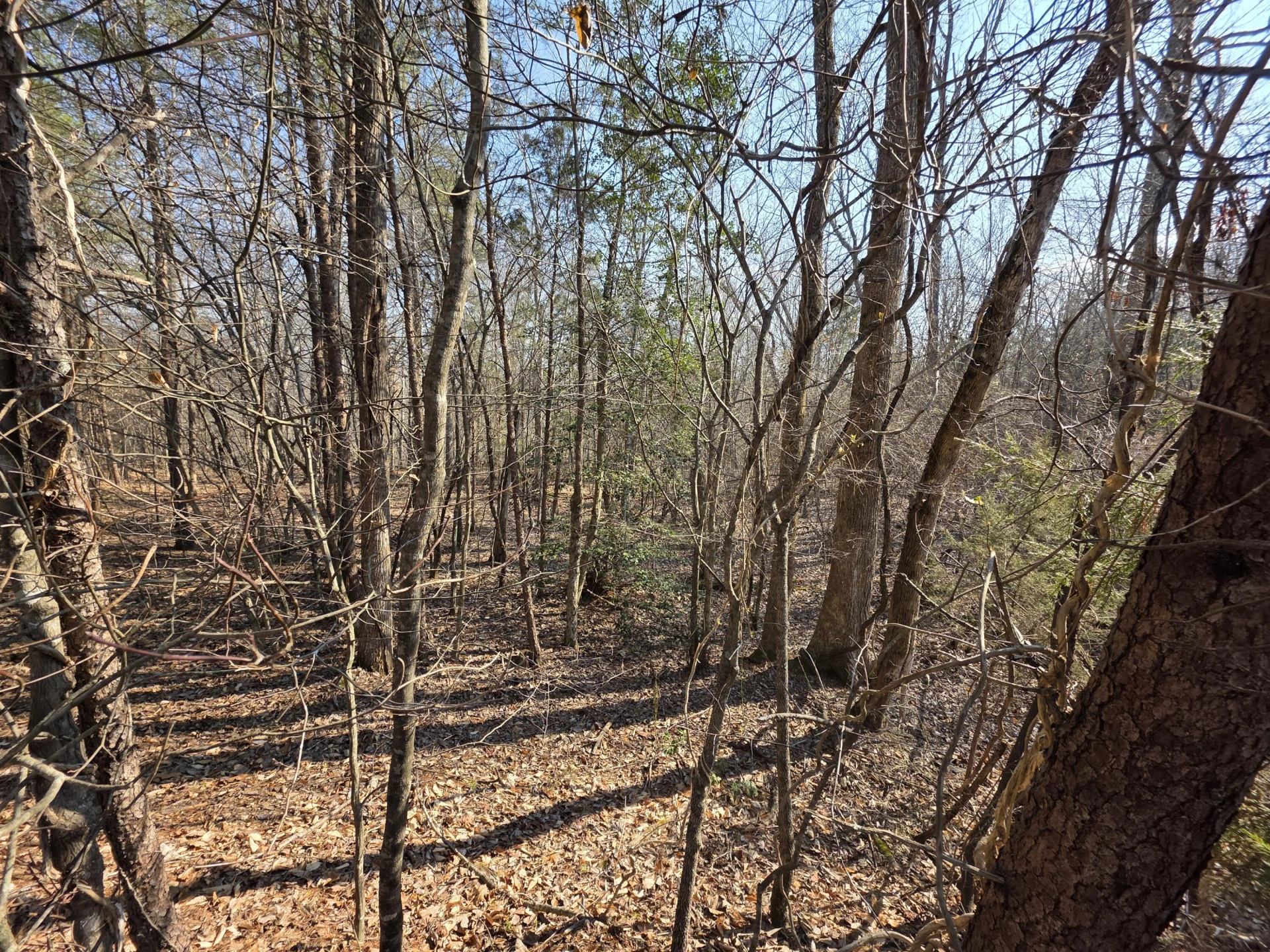 Lot 20 Reservoir View CT - Photo 9