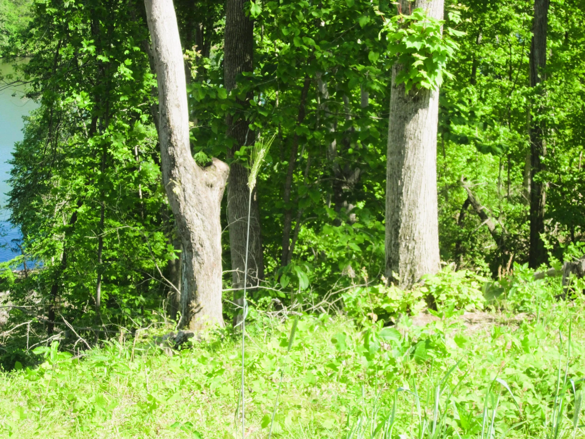 LOT 70 WASHBURN CT - Photo 20