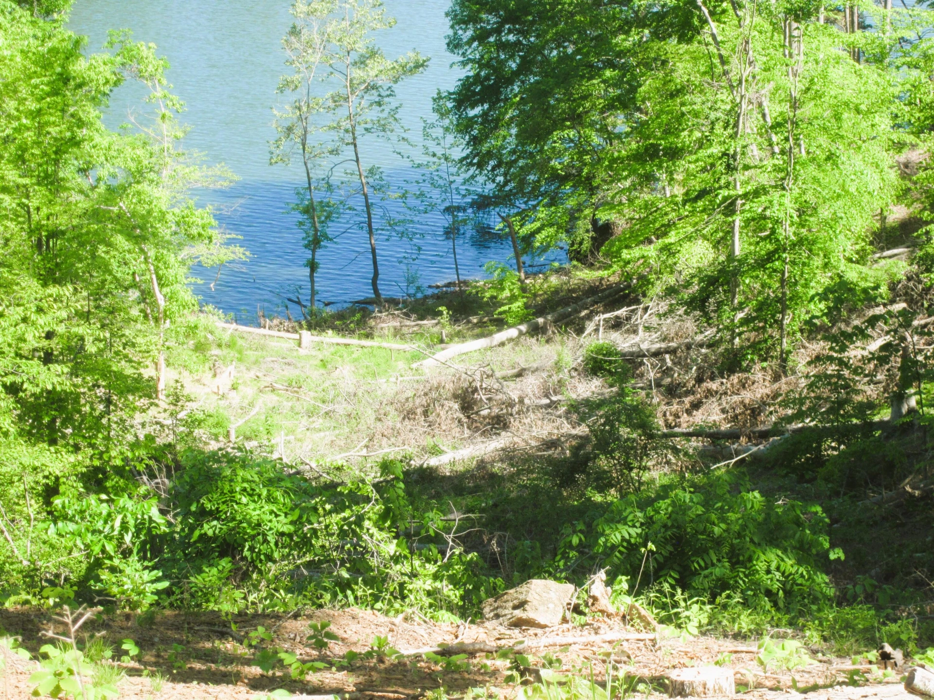 LOT 70 WASHBURN CT - Photo 22
