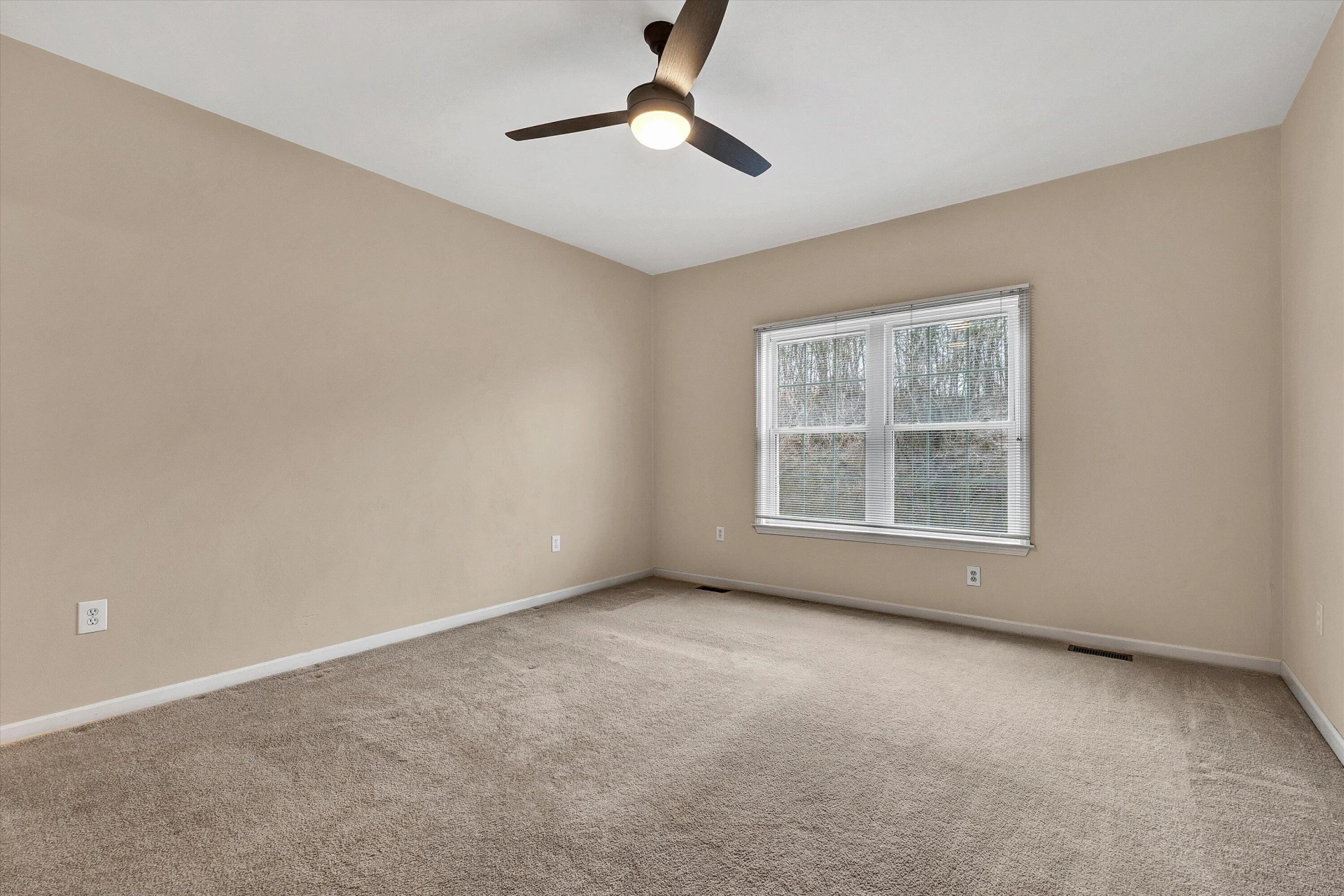 3827 Alexandra CT - Photo 18